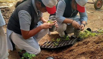 Bhimtal Indo-Dutch Horticulture trip 2024