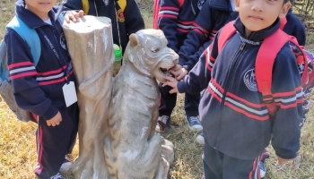 Class Nursery to UKG Trip to Sanjay Van 2019