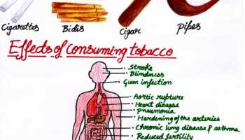 Educational institutes free from Tobacco