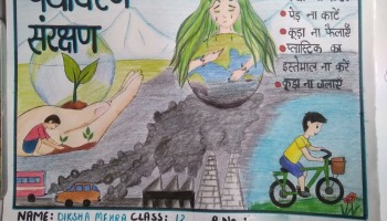 Environment Day 2020