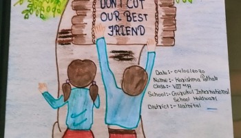 Environment Day 2020