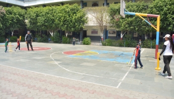GPL 2019