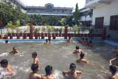 Swimming (5)