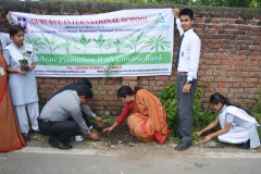 plant1