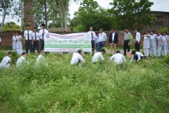 plant4