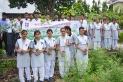 plant5