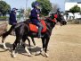 Horse Riding is in full swing.