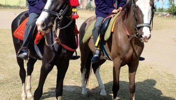 Horse Riding 2023