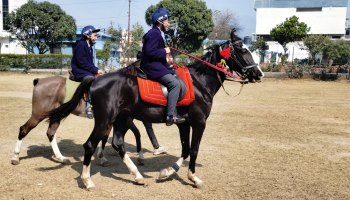 Horse Riding 2023