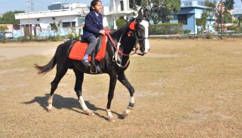 Horse Riding 2023