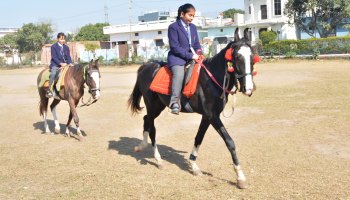 Horse Riding 2023