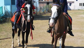 Horse Riding 2023