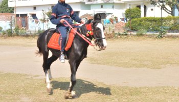 Horse Riding 2023
