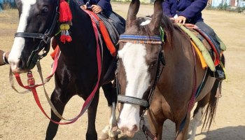 Horse Riding 2023