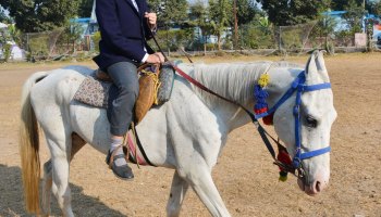 Horse riding 2024