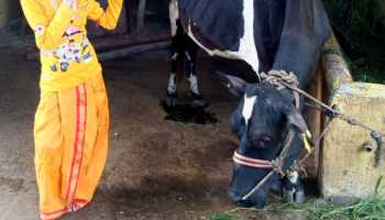 Krishna Janmashtami 2020