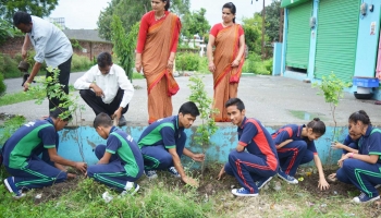 Plantation 2018