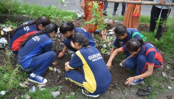 Plantation 2018