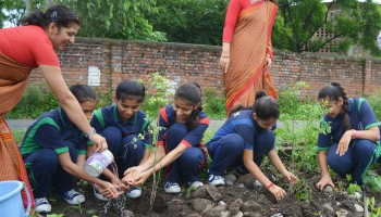 Plantation 2018