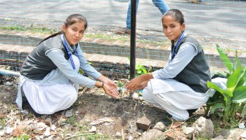 Plantation Drive 2022