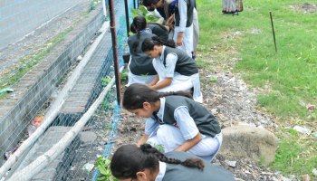 Plantation Drive 2022