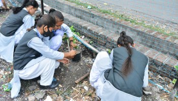 Plantation-Drive-2022-6