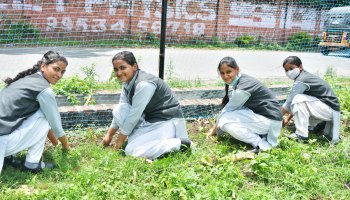 Plantation Drive 2022
