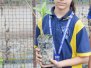 Plantation Drive 2025