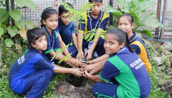 Plantation Drive 2025