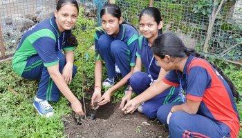 Plantation Drive 2025