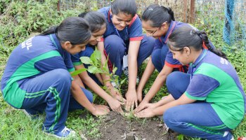 Plantation Drive 2025