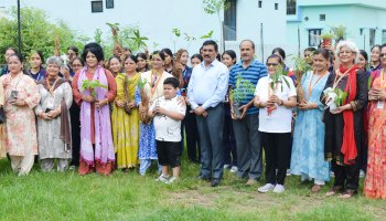 Plantation Drive 2025