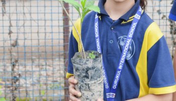 Plantation Drive 2025