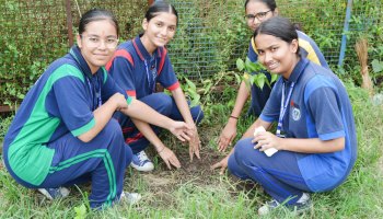 Plantation Drive 2025