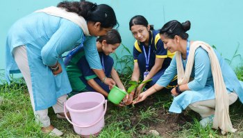 Plantation Drive 2025