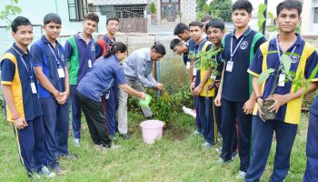 Plantation Drive 2025