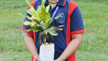Plantation Drive 2025