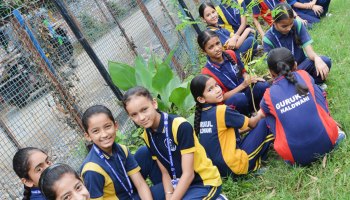 Plantation Drive 2025