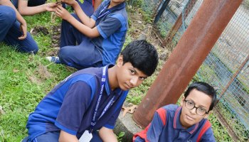 Plantation Drive 2025