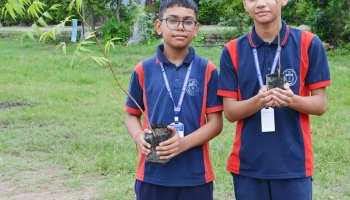 Plantation Drive 2025
