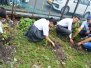 Plantation Drive On SBI Foundation Day 2023
