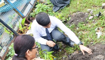 Plantation Drive On SBI Foundation Day 2023