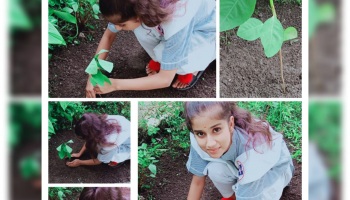 World Nature Conservation Day