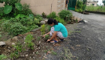 World Nature Conservation Day